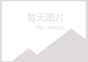 芦山县冰夏金属有限公司